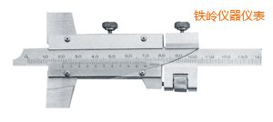 �F�X����