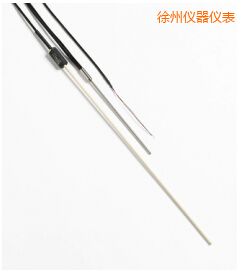 徐州R 型和 S 型標準熱電偶