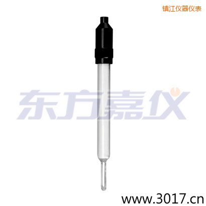 鎮(zhèn)江玻璃外殼無(wú)溫補(bǔ)兩線電導(dǎo)率電極