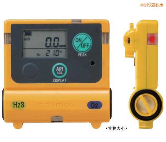 株洲復(fù)合型氣體檢測器
